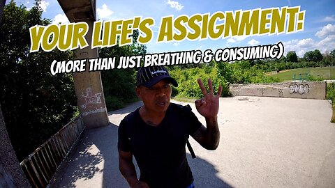 Your Life’s Assignment: More Than Just Breathing & Consuming | Vlog #90
