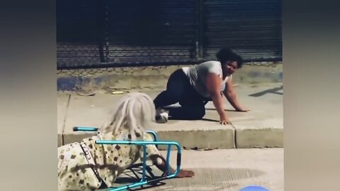 Funny Video Try to not laugh 😂🤣