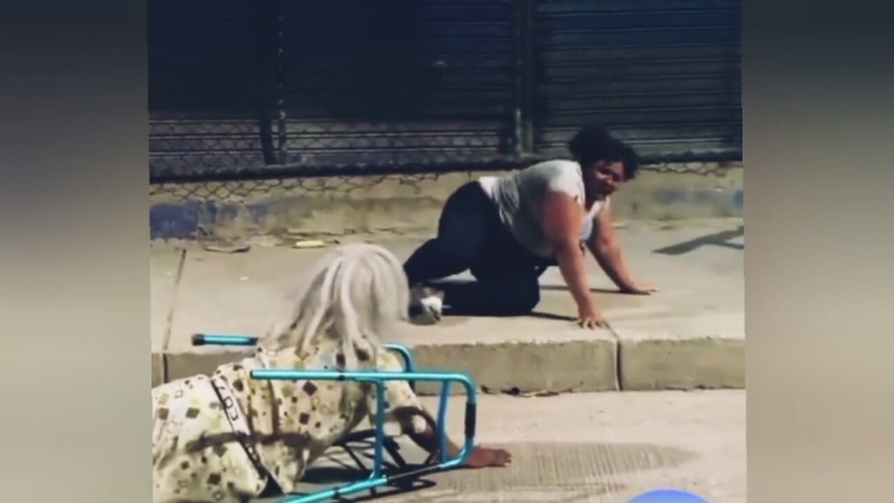 Funny Video Try to not laugh 😂🤣