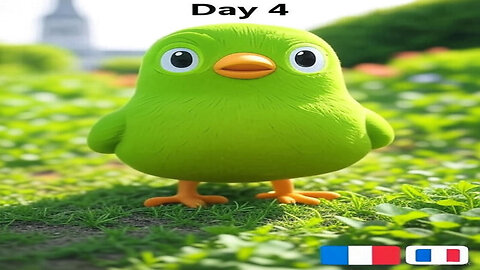 Duolingo Learning French Day 4