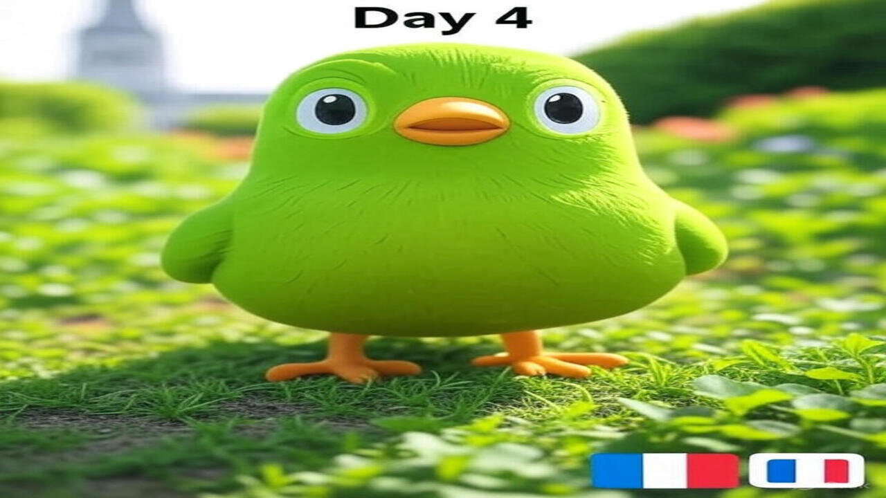 Duolingo Learning French Day 4