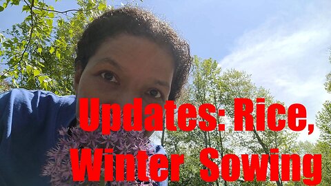 Rice update #2025ricechallenge \ #wintersowing \ More seed sowing
