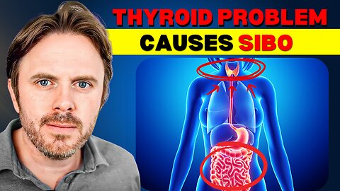 How Thyroid Problems Cause Small Intestinal Bacterial Overgrowth
