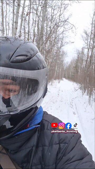 Checking traps. #pkalbertahunting #alberta #trapping #wolverine #thief