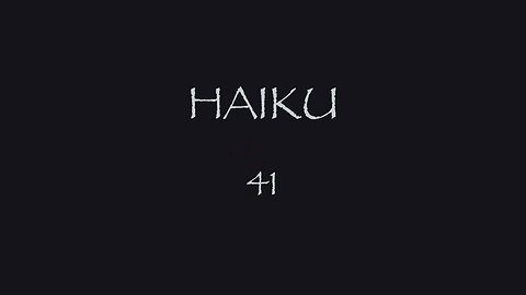 HAIKU 41