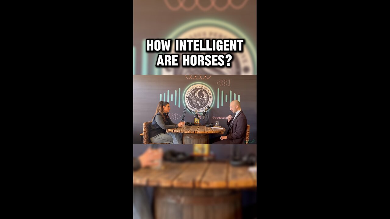 “So you would say horses are a lot more intelligent than we think they are?”