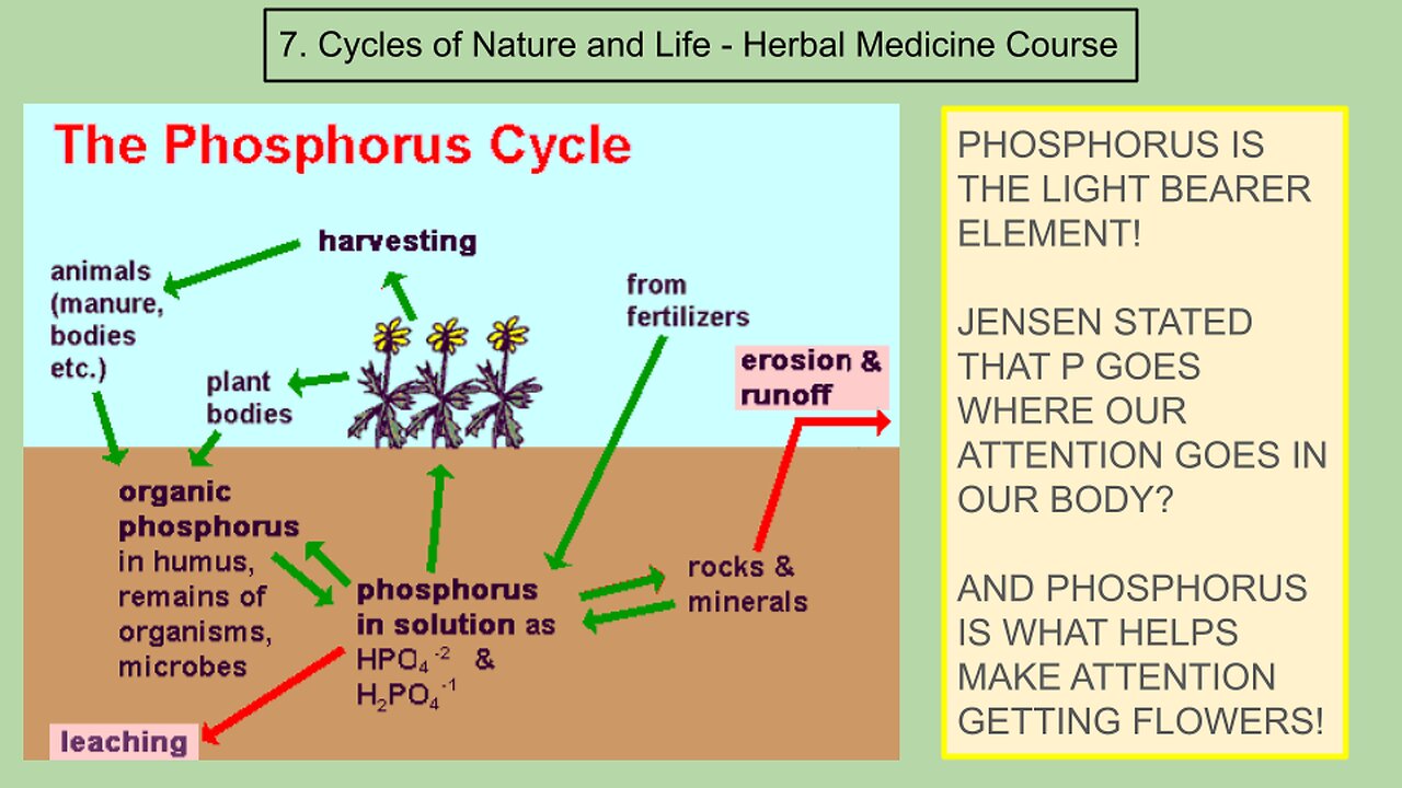 Craig Lane Health and Nature Alkemy! Turning "Waste" Into New Life - FREE EASY!!!