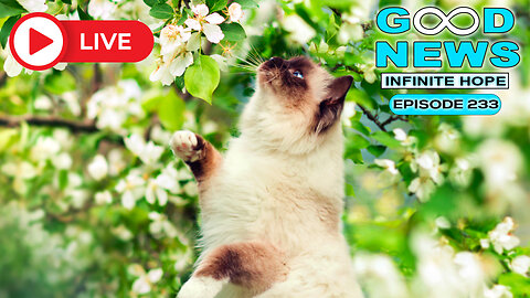 GOOD NEWS – Infinite Hope # 233