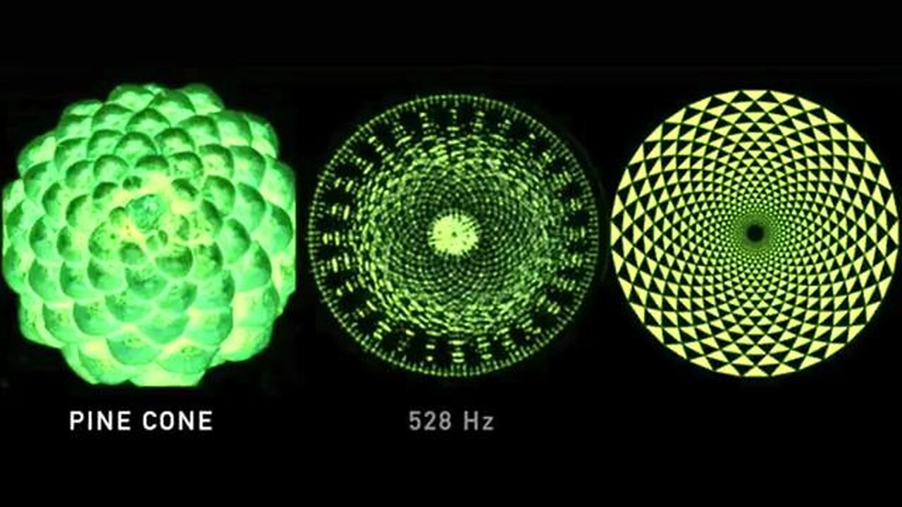 WHAT THE FREQUENCY? ( BY DR. LEONARD G. HOROWITZ) - FREE YOUR MIND VIDEOS