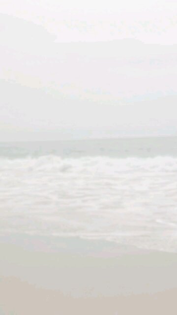 Dreaming of a Month of Peace without Home Demands