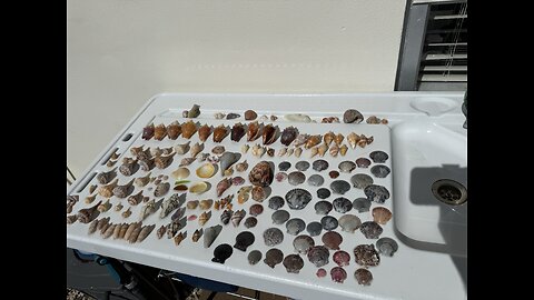 Beach Finds 11/17/2025 | 4K