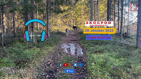 Skogpod 20. oktober 2025