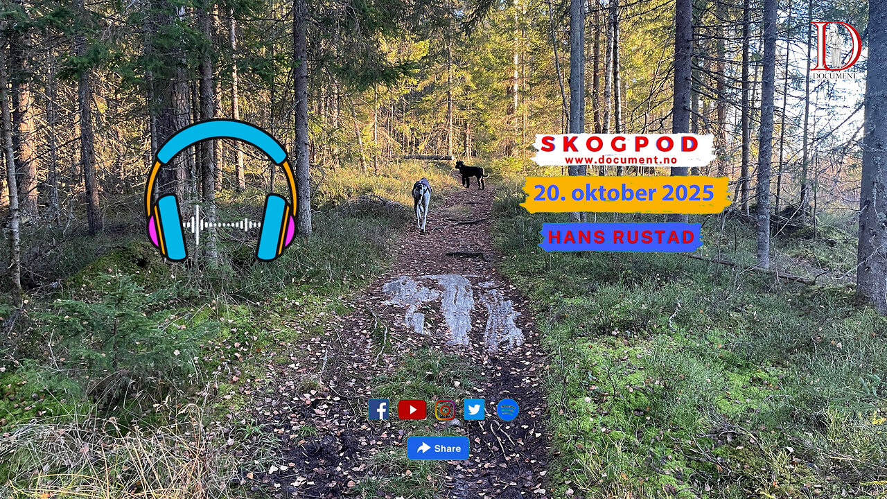 Skogpod 20. oktober 2025