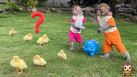 Smart YiYi helps YinYin take care of the ducklings but