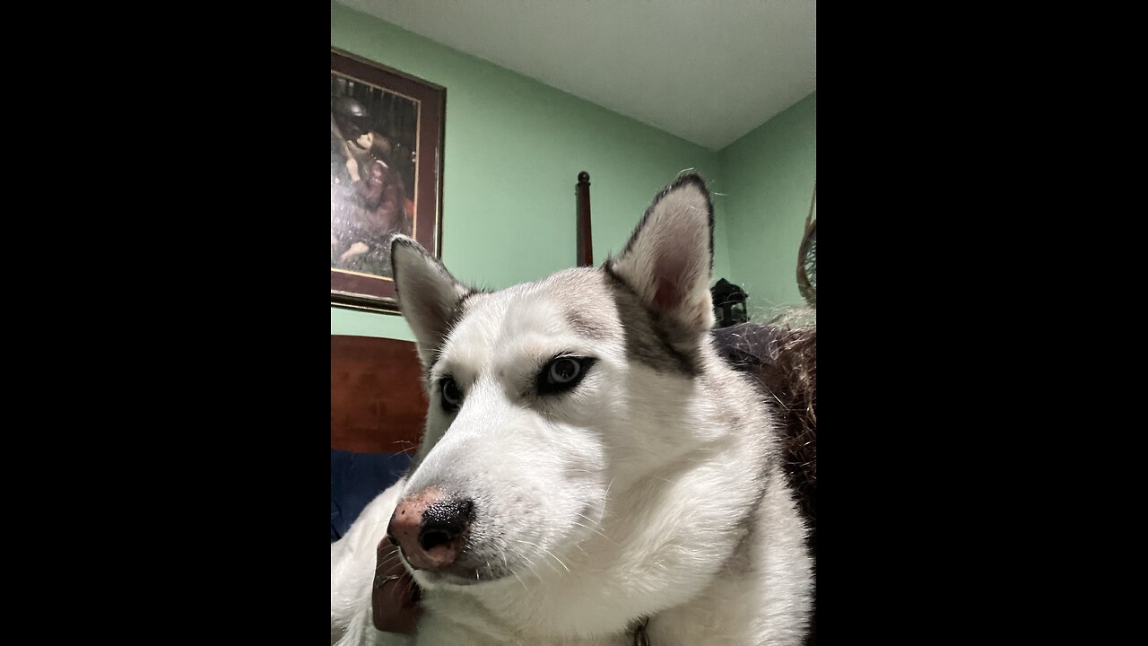 It’s That Time of Year!