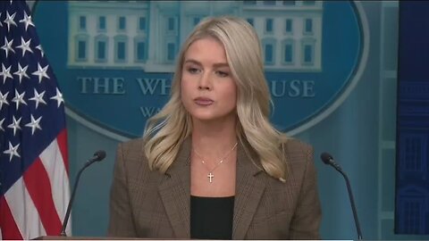 Karoline Leavitt Takes Down Fake News On Border Czar