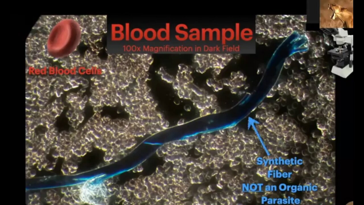 Transhumanism overview with optical microscopy evidence