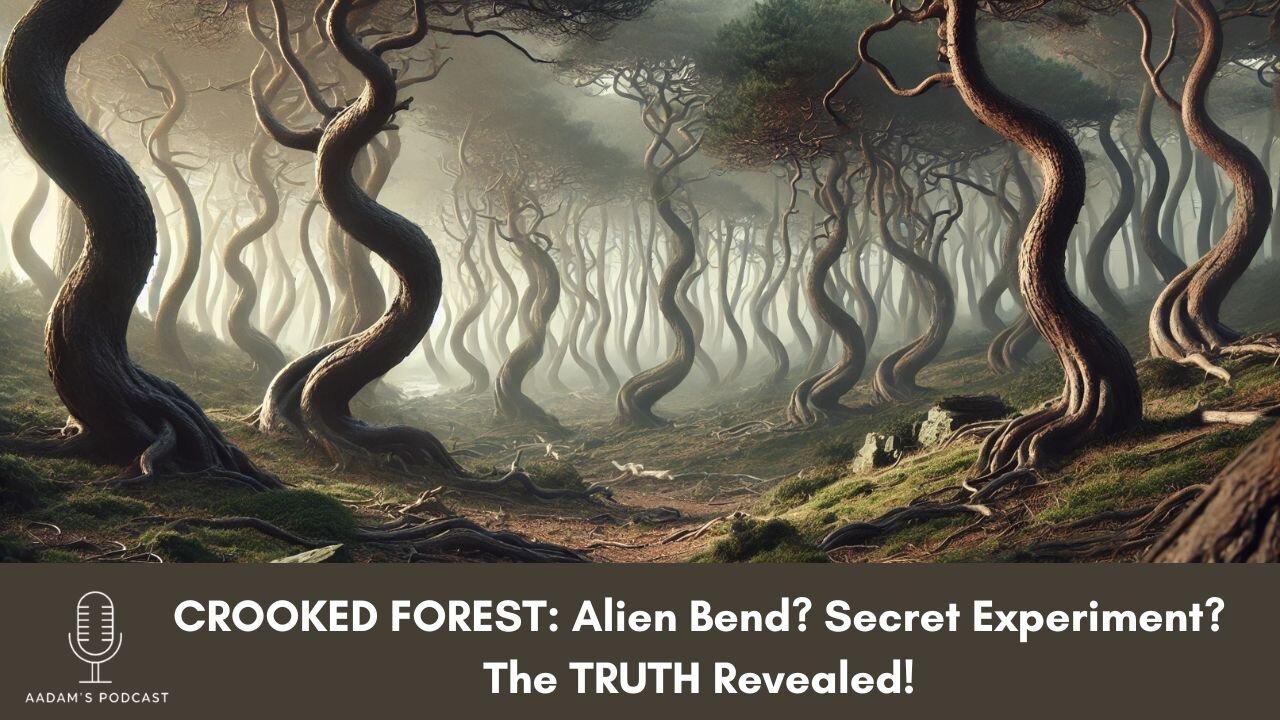 CROOKED FOREST: Alien Bend? Secret Experiment? The TRUTH Revealed! | Podcast-106