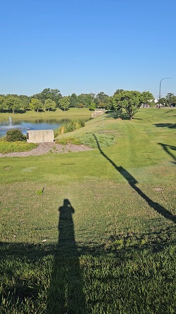 Blue Heron on Labor Day