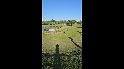 Blue Heron on Labor Day