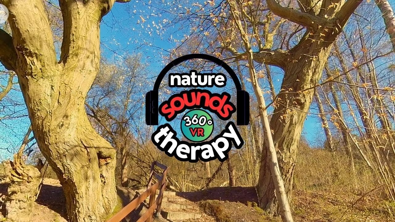 Authentic Spring Sound; Natural Water Flow 360 VR 4K