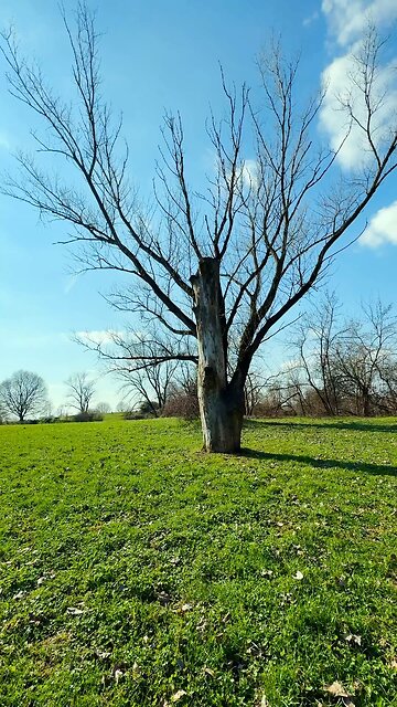 Beautiful Nature with Guided Meditation