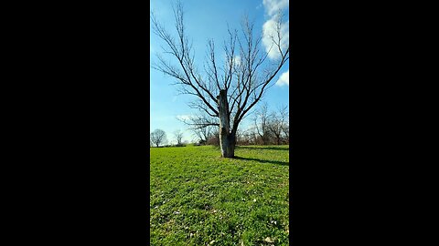 Beautiful Nature with Guided Meditation