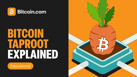 What Is Bitcoin Taproot? | Bitcoin’s Most Powerful Upgrade Explained