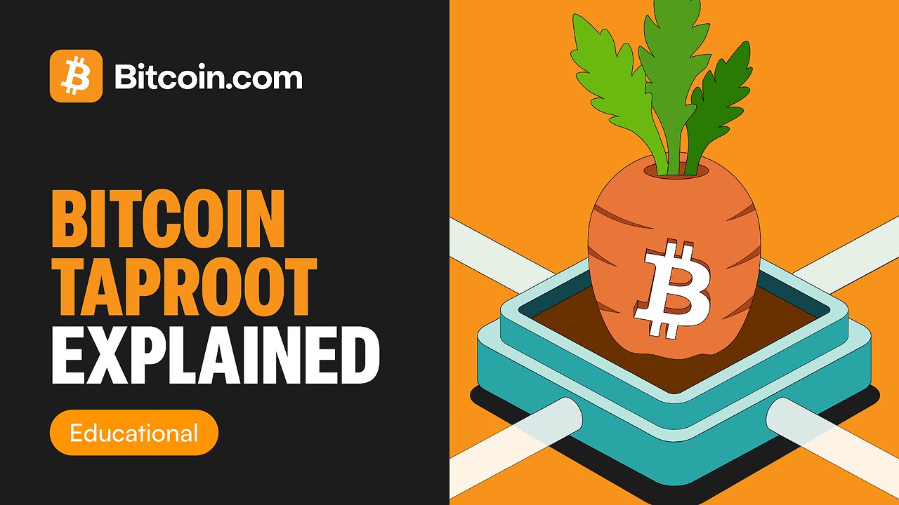 What Is Bitcoin Taproot? | Bitcoin’s Most Powerful Upgrade Explained