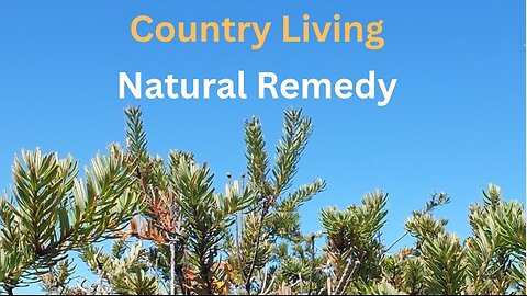 Country Living: Natural Remedies