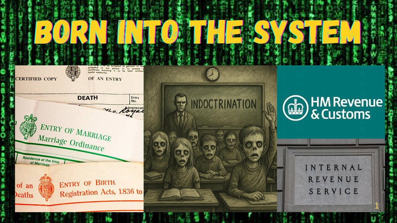 Born Into The System