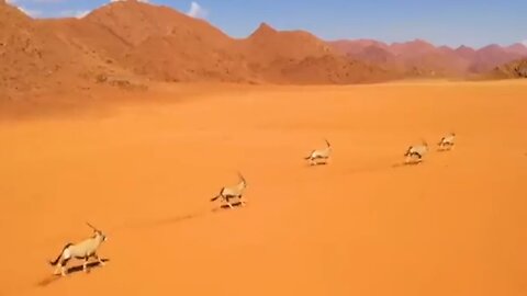 Juan O Savin - Who Are The "Children of Darkness?"