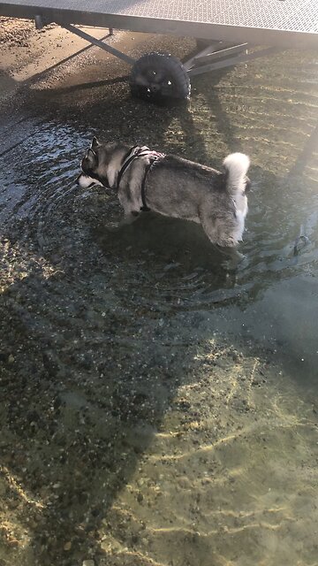 Monday September 15, The Lord’s anger burst out like a storm