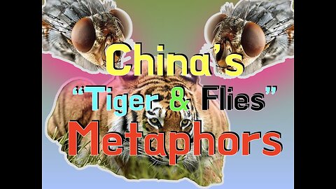 China's Political Metaphors in Translation《隐喻与政治》