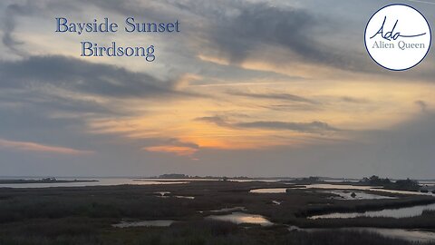 Ada Alien Queen • Bird Songs • Take #00009 • Bayside Sunset Birdsong