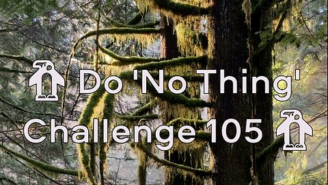 Do 'No Thing' Challenge 105 🐧 New Earth Creations #shonesthoughts #naturemeditation #natureshorts