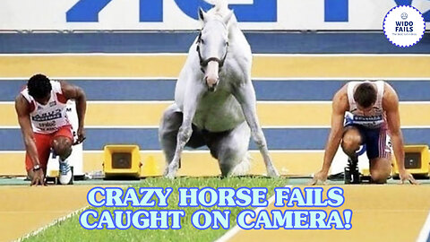 Funny Horse Fails | Horse Fails Caught On Camera | WidoFails