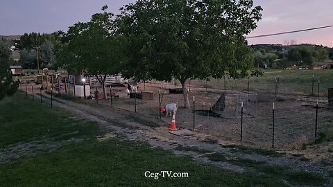 Graham Family Farm NW: 9:20 PM July 3 2025