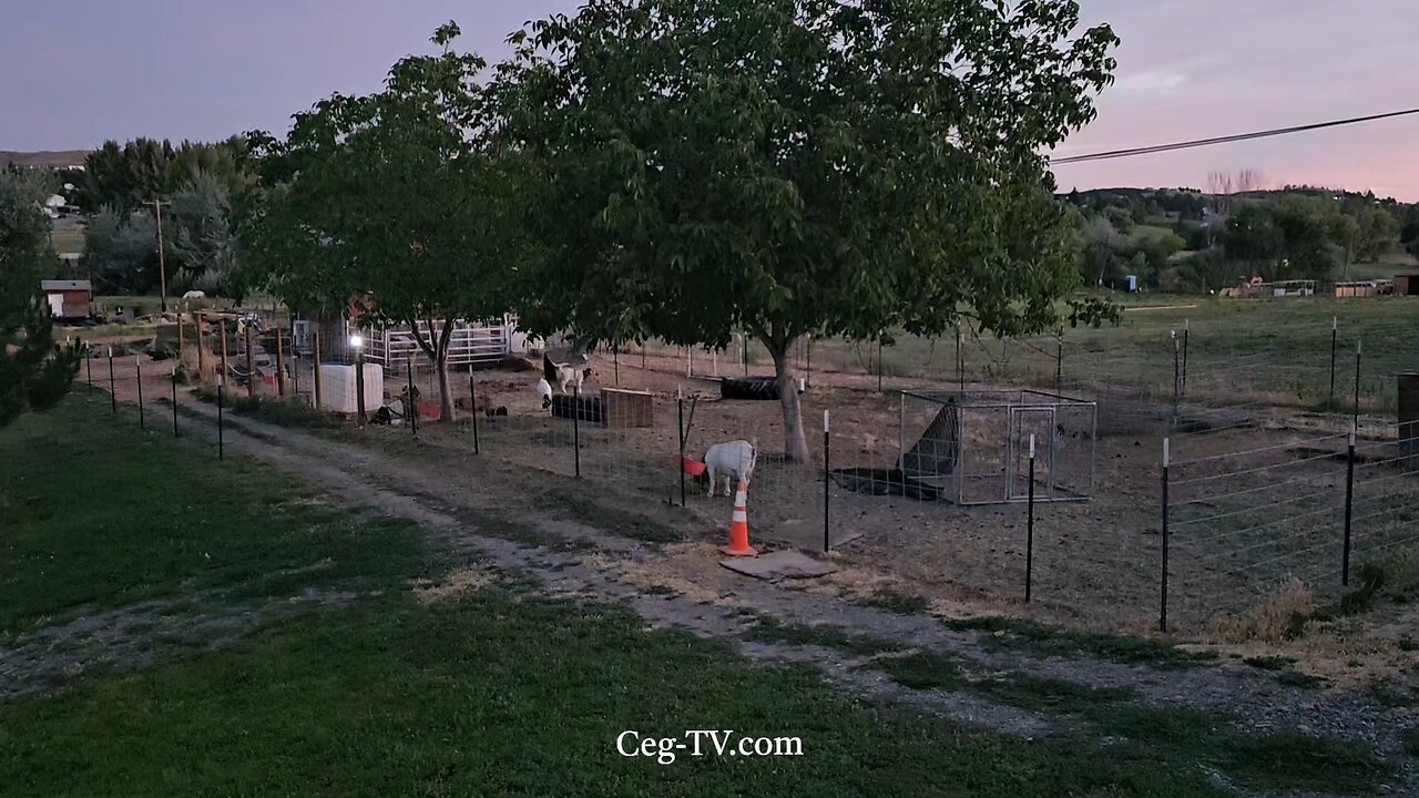 Graham Family Farm NW: 9:20 PM July 3 2025