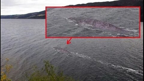 Lake and River Monster Stories