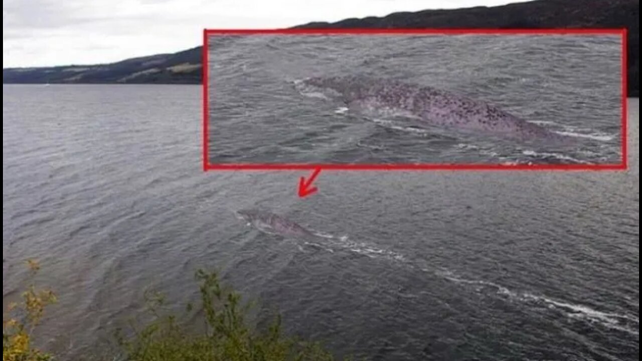 Lake and River Monster Stories