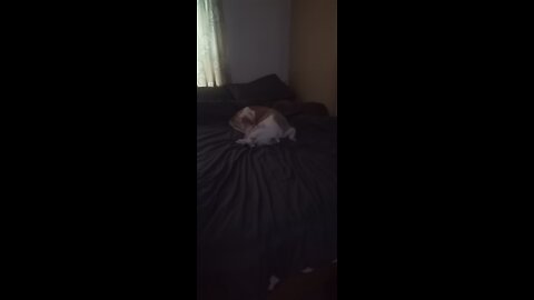 My baby In bed before me