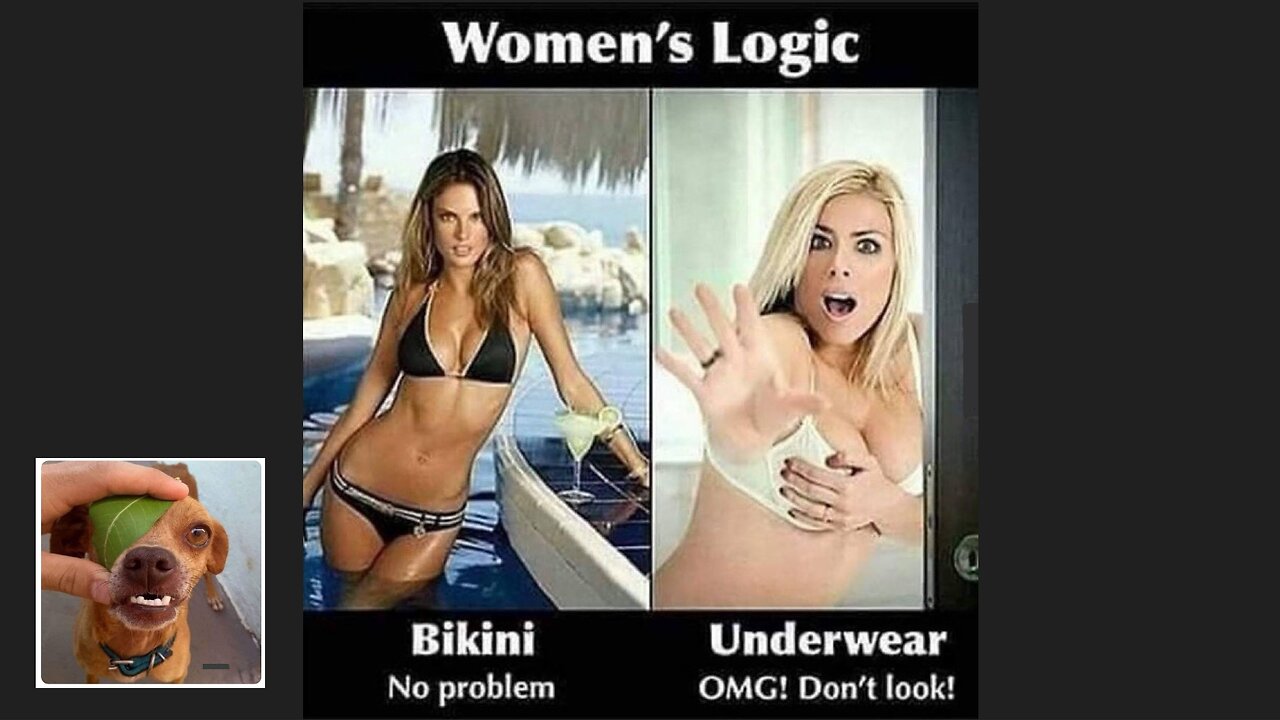 Memes That Will 99.0152% Make You Laugh. (e376)