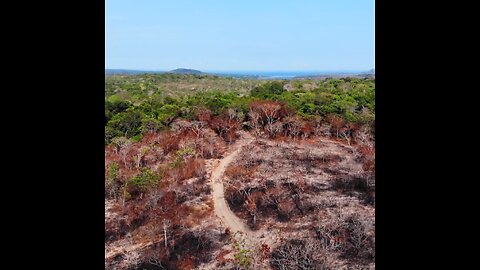 Río Negro: la Amazonia enfrenta sequías y falta de servicios
