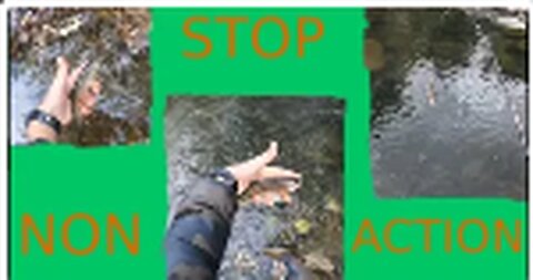 Non-Stop Micro Trout Action!