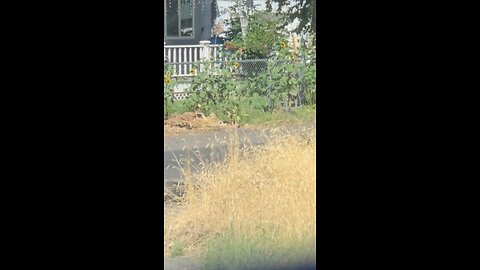 Neighbor Threat