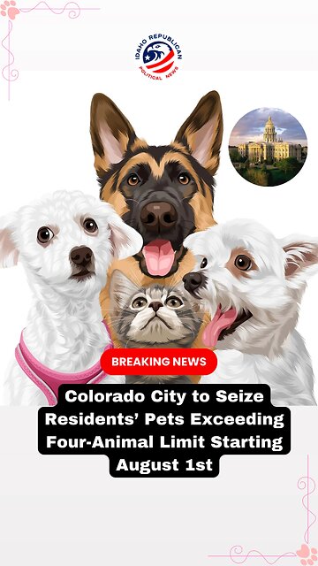 Colorado will limit households to no more than four combined cats and dogs