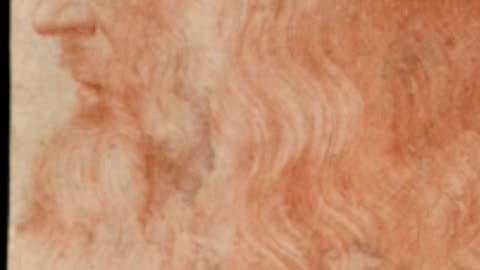 THE HIDDEN DRAWING OF LEONARDO DA VINCI