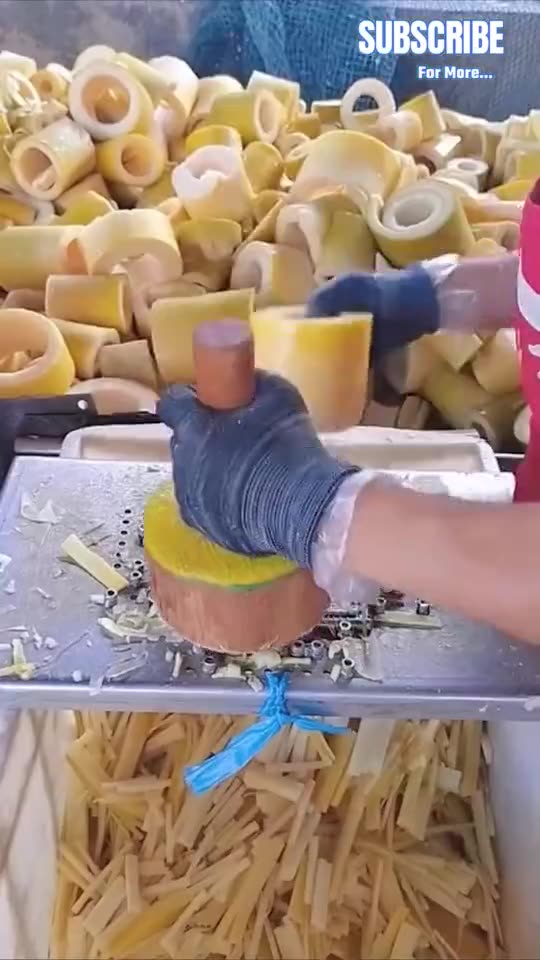 The Amazing Magic in daily Routine