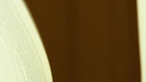 🚀🧩 “How Narcissists Trap Themselves in Toxic Loops